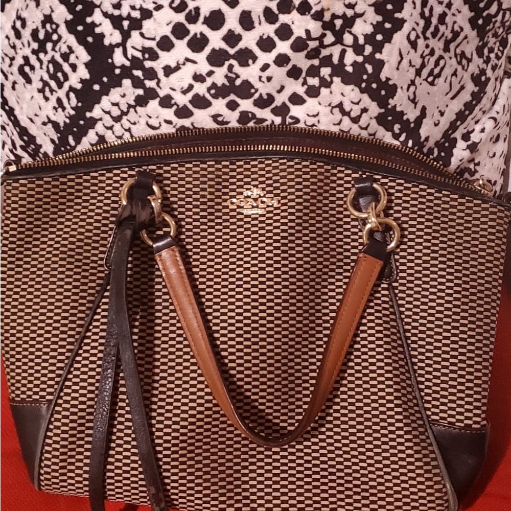 Coach Brown and Black Women's Bag
